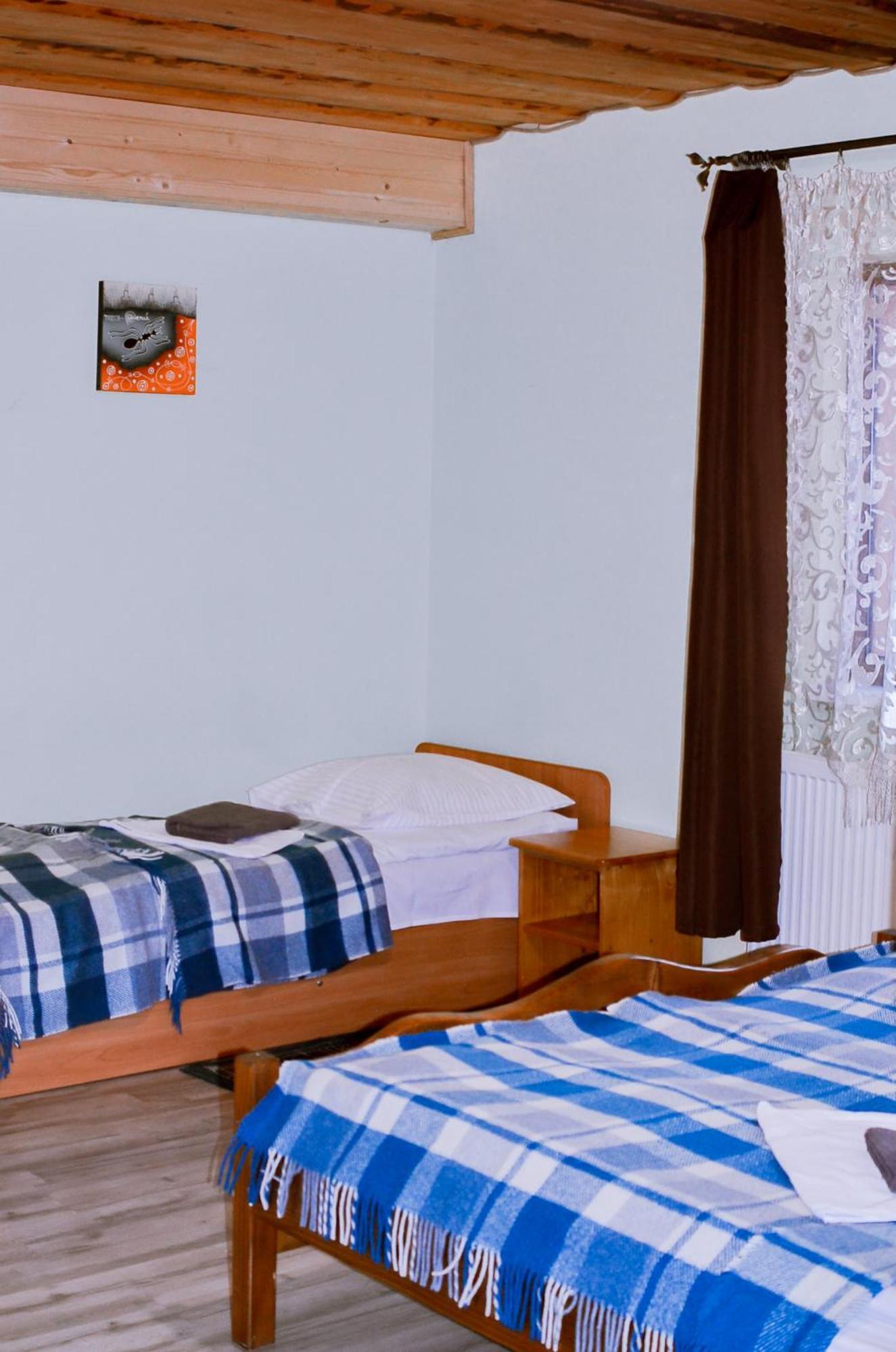 Guest House Mandrivnyi Rooms&Apartments Yasinya Exterior photo